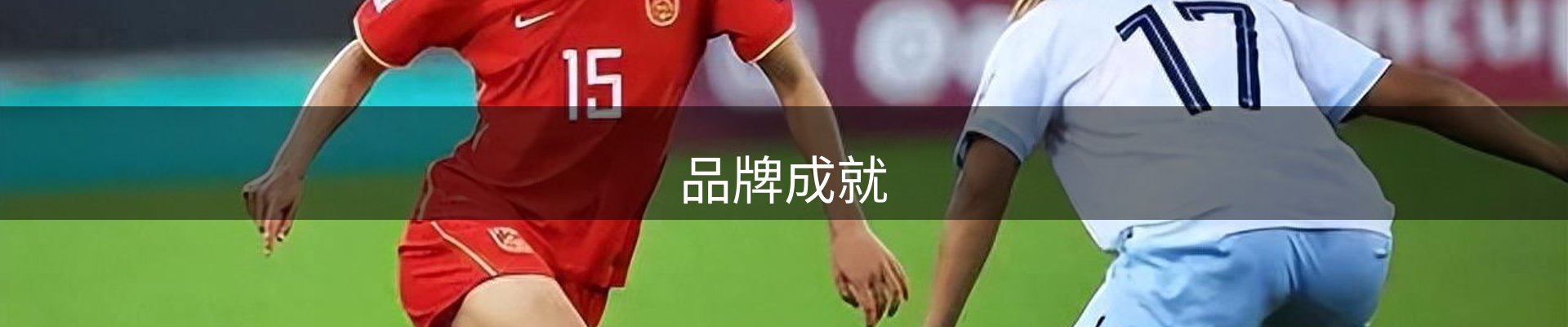 品牌成就